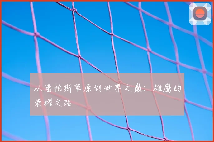 从潘帕斯草原到世界之巅：雄鹰的荣耀之路